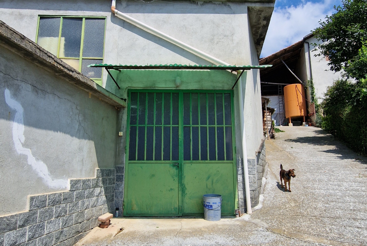 Estate of Properties for Sale In Pino D’Asti Piedmont Italy