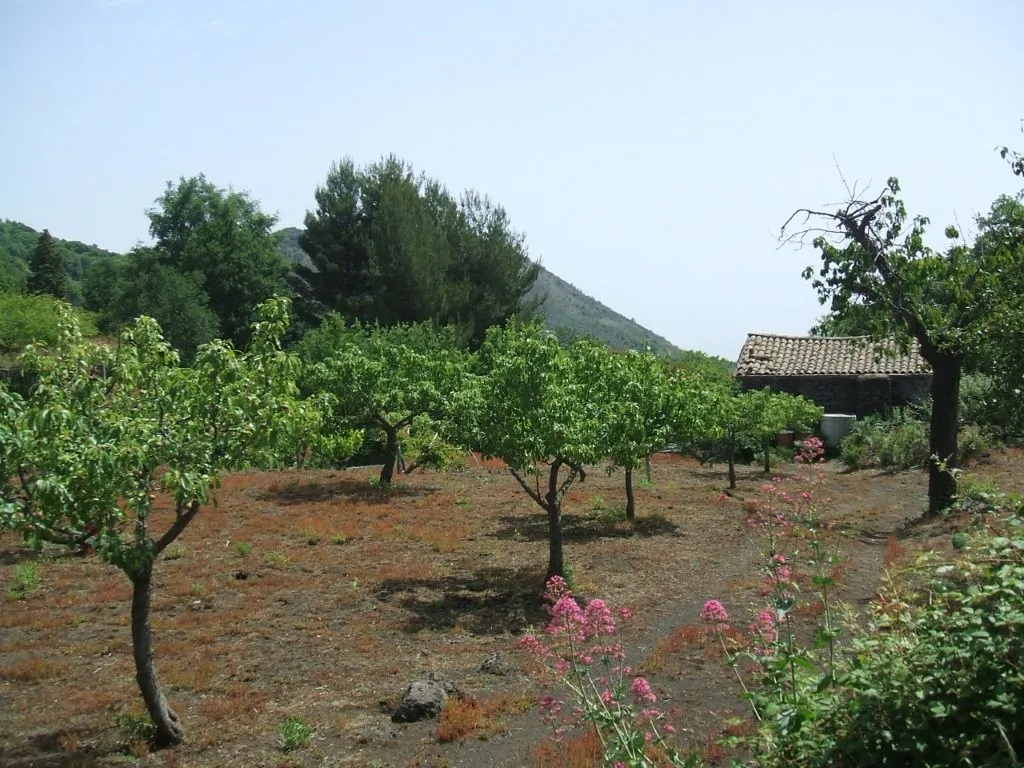 Vineyard With Villa Plans for Sale In Trecastagni Sicily Italy