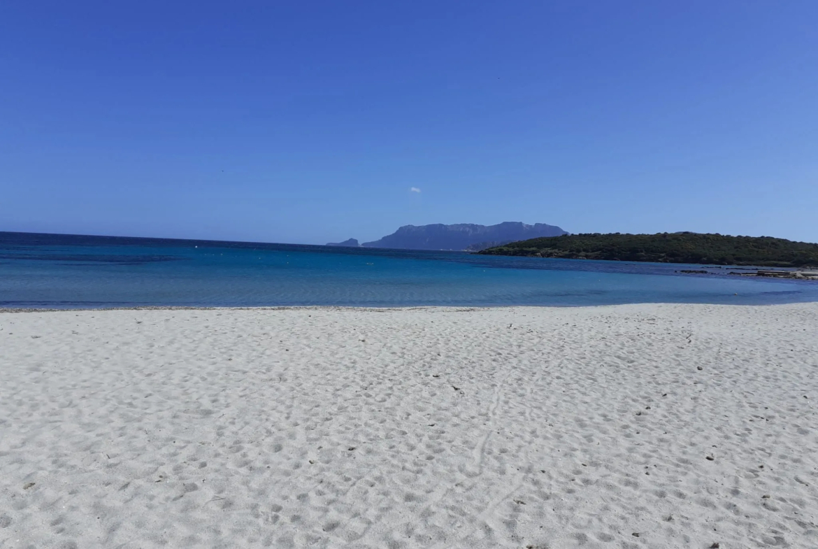 Renovation Project 3 Bed Apartment for Sale In Calangianus Sardinia Italy