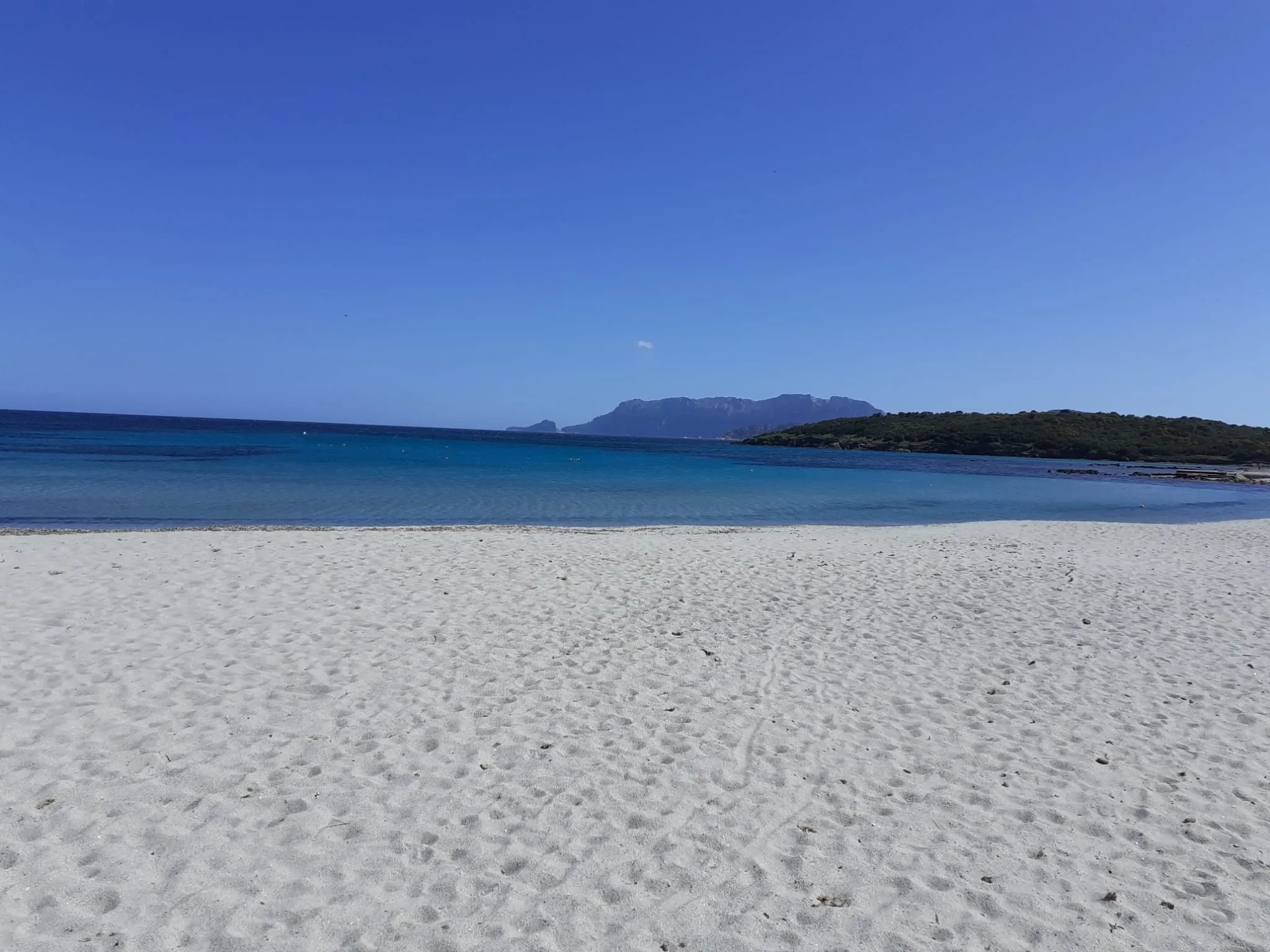 property-ea00bceb Renovation Project 3 Bed Apartment for Sale In Calangianus Sardinia Italy