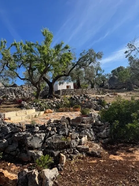 Estate For Redvelopment for Sale In Ceglie Messapica Brindisi Puglia Italy