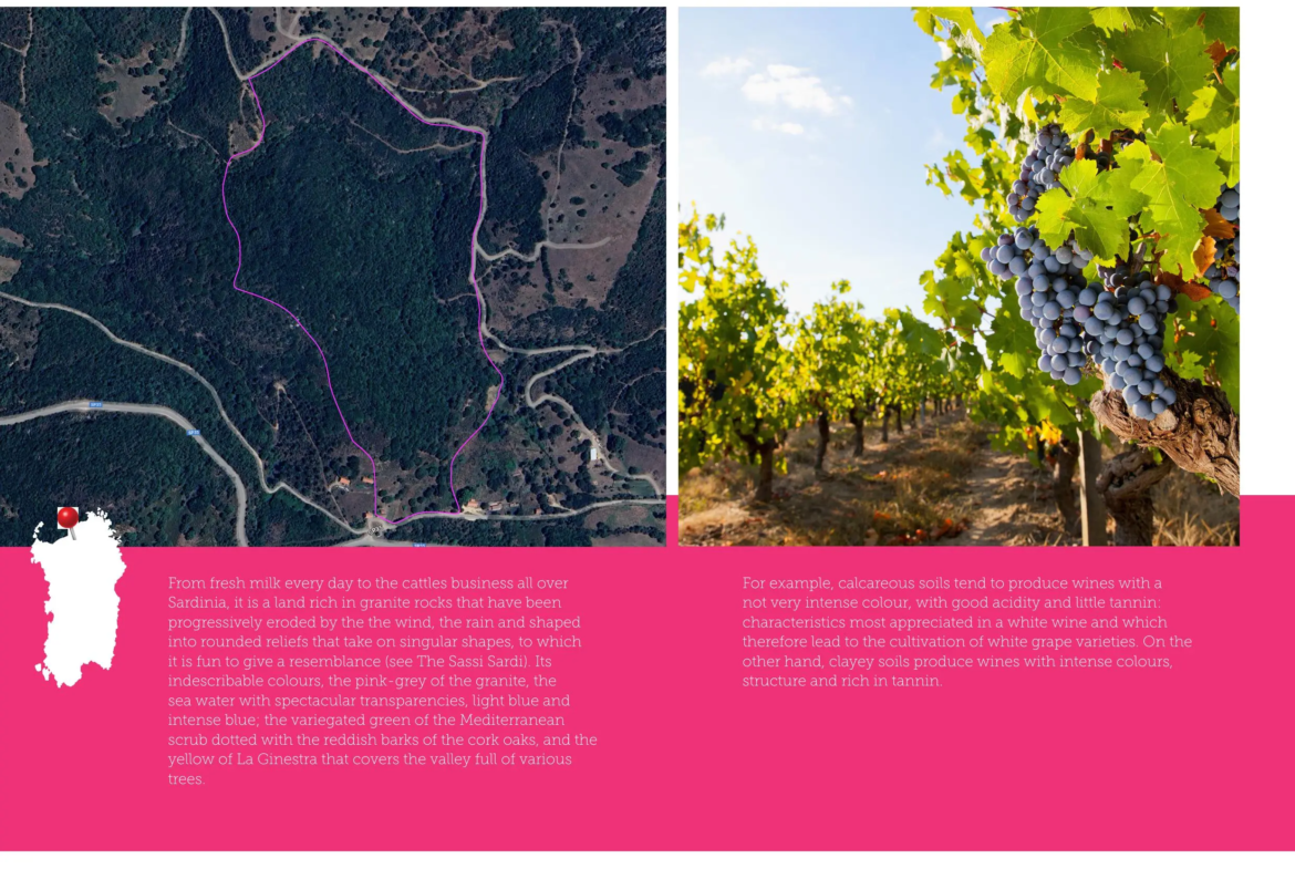 Excellent Plot of land for sale in Sardinia Italy