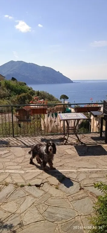 Luxury 2 Storey Sea View Apartment for Sale In Via Polanesi, Sori Liguria Italy