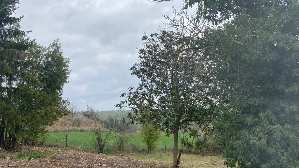 Excellent 3 Bed House for Sale In Ozzano Monferrato Italy
