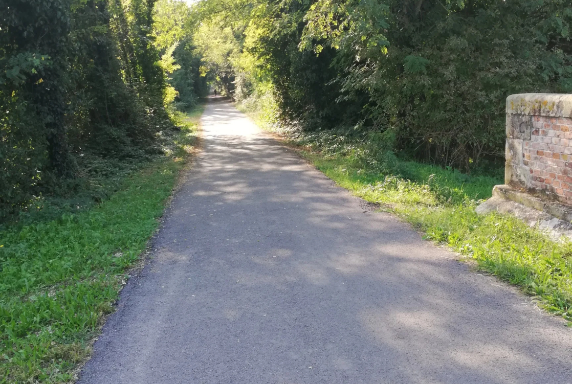 Excellent Plot of land for sale in Silvelle di Trebaseleghe Padua Veneto Italy