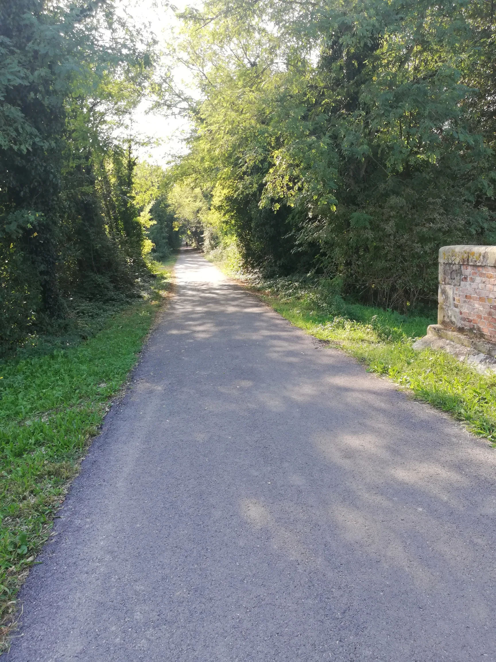 Excellent Plot of land for sale in Silvelle di Trebaseleghe Padua Veneto Italy