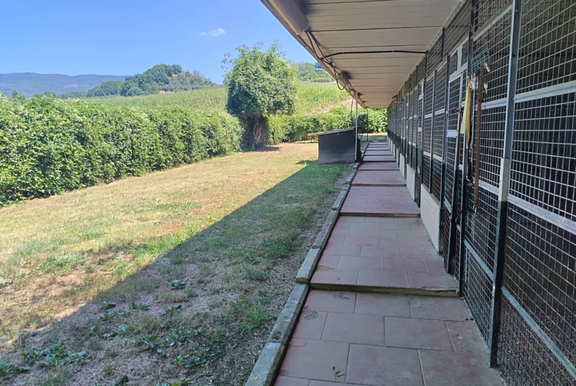 Luxury Estate & Canine Business for Sale In Terranuova Bracciolini Tuscany Italy