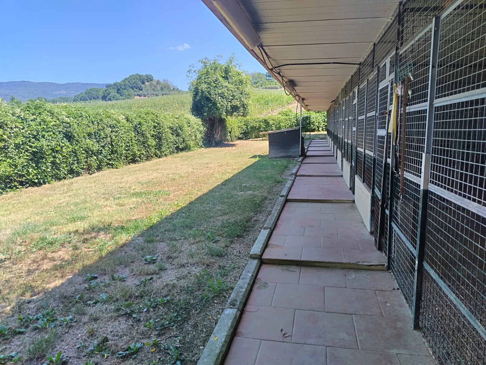 Luxury Estate & Canine Business for Sale In Terranuova Bracciolini Tuscany Italy