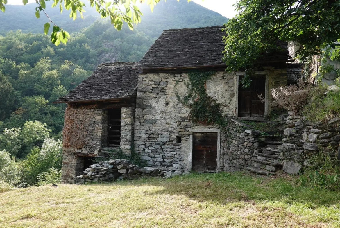 Excellent Estate Of Properties for Sale In Canei, Piedmont Italy