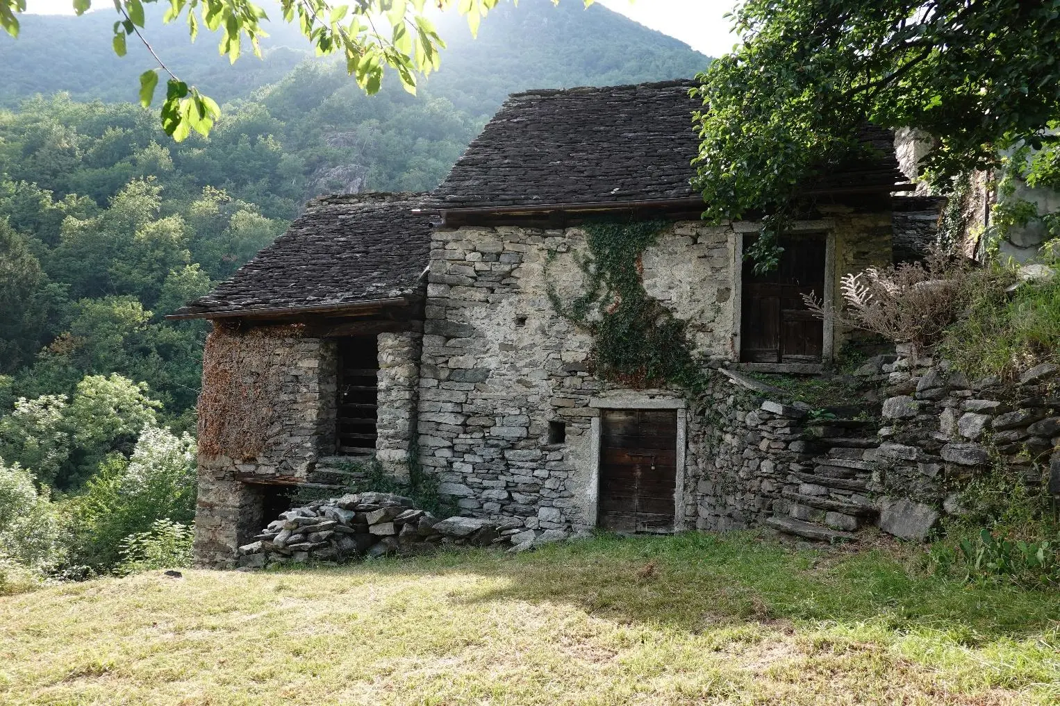 Excellent Estate Of Properties for Sale In Canei, Piedmont Italy