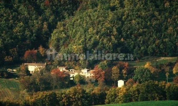 Luxury 8 Bed Farmhouse With Land for Sale In Sorriva, Viano, Italy