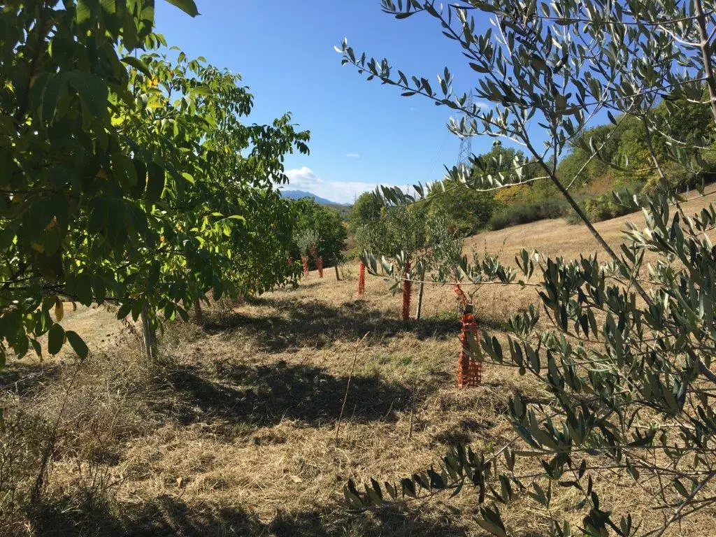 5 Bed Renovated Farmhouse For Sale In Palmiano Marche Italy