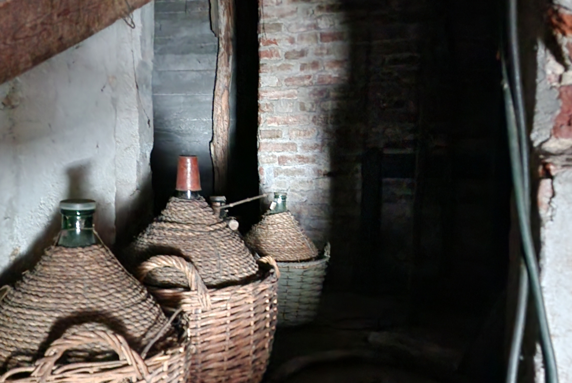 Estate of Properties for Sale In Pino D’Asti Piedmont Italy