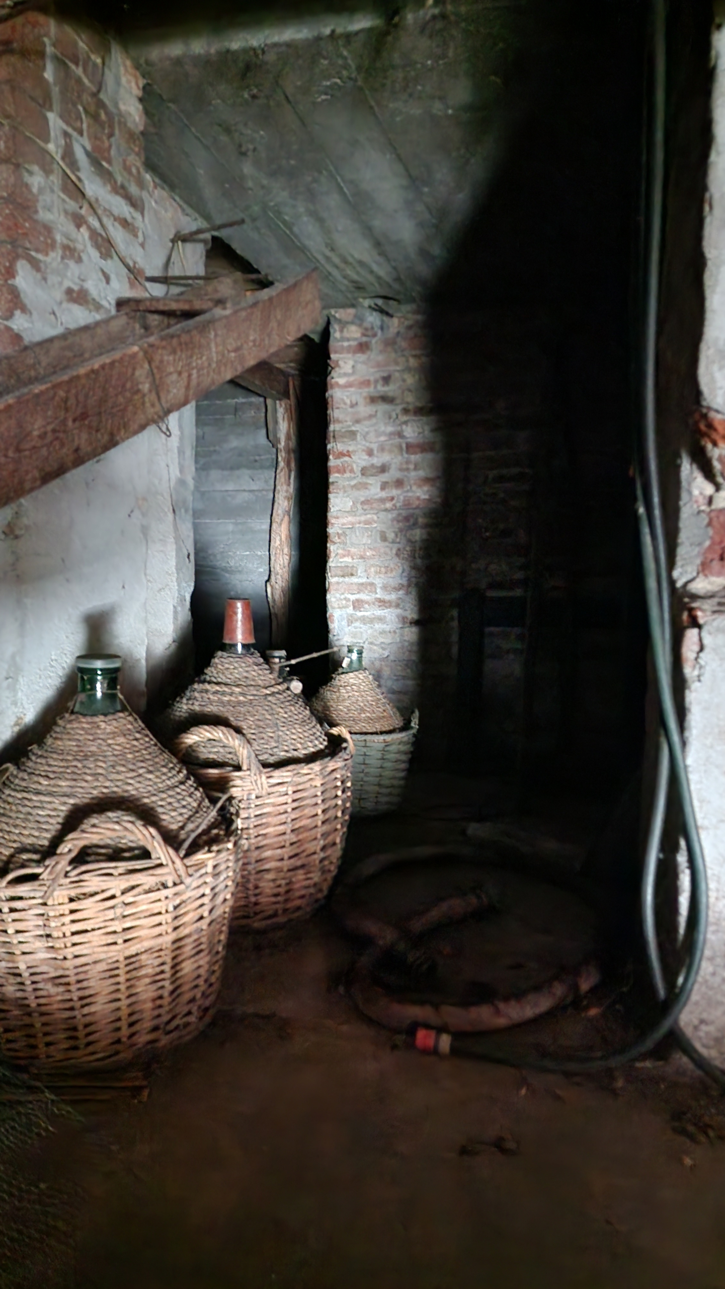 Estate of Properties for Sale In Pino D’Asti Piedmont Italy