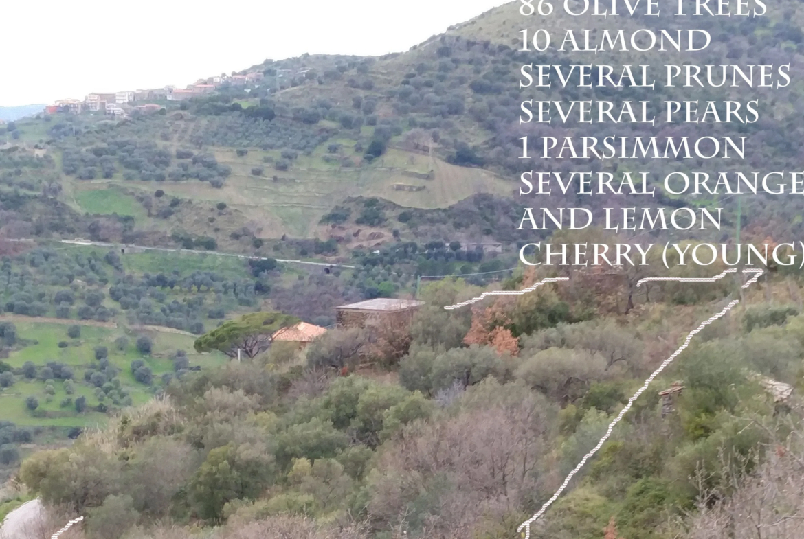 SunSeaMoon Development Project For Sale In Salerno Italy