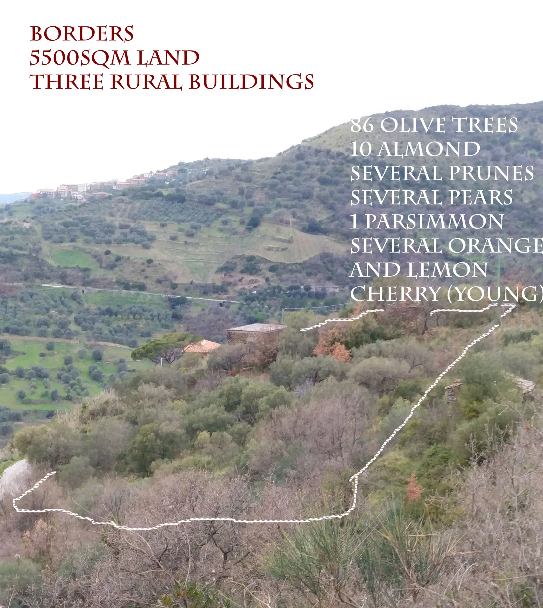 SunSeaMoon Development Project For Sale In Salerno Italy