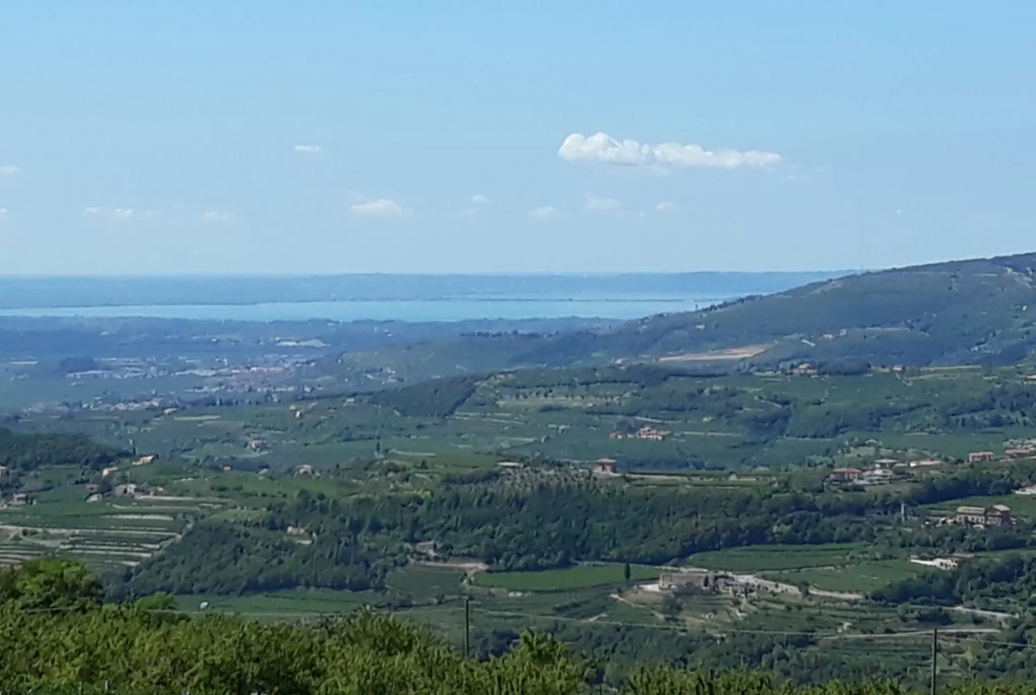 Estate of Properties for Sale In Negrar di Verona Veneto Italy