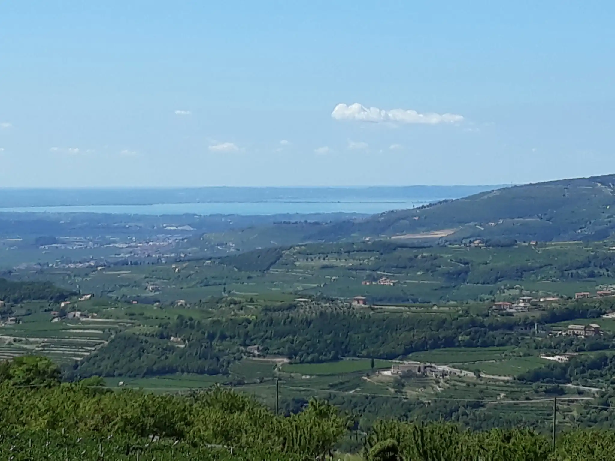 Estate of Properties for Sale In Negrar di Verona Veneto Italy