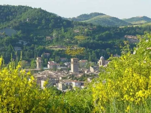 Luxury 5 Bed B&B for Sale In Sant’Angelo in Vado Marche Italy