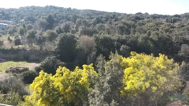 Renovation Project 3 Bed Apartment for Sale In Calangianus Sardinia Italy
