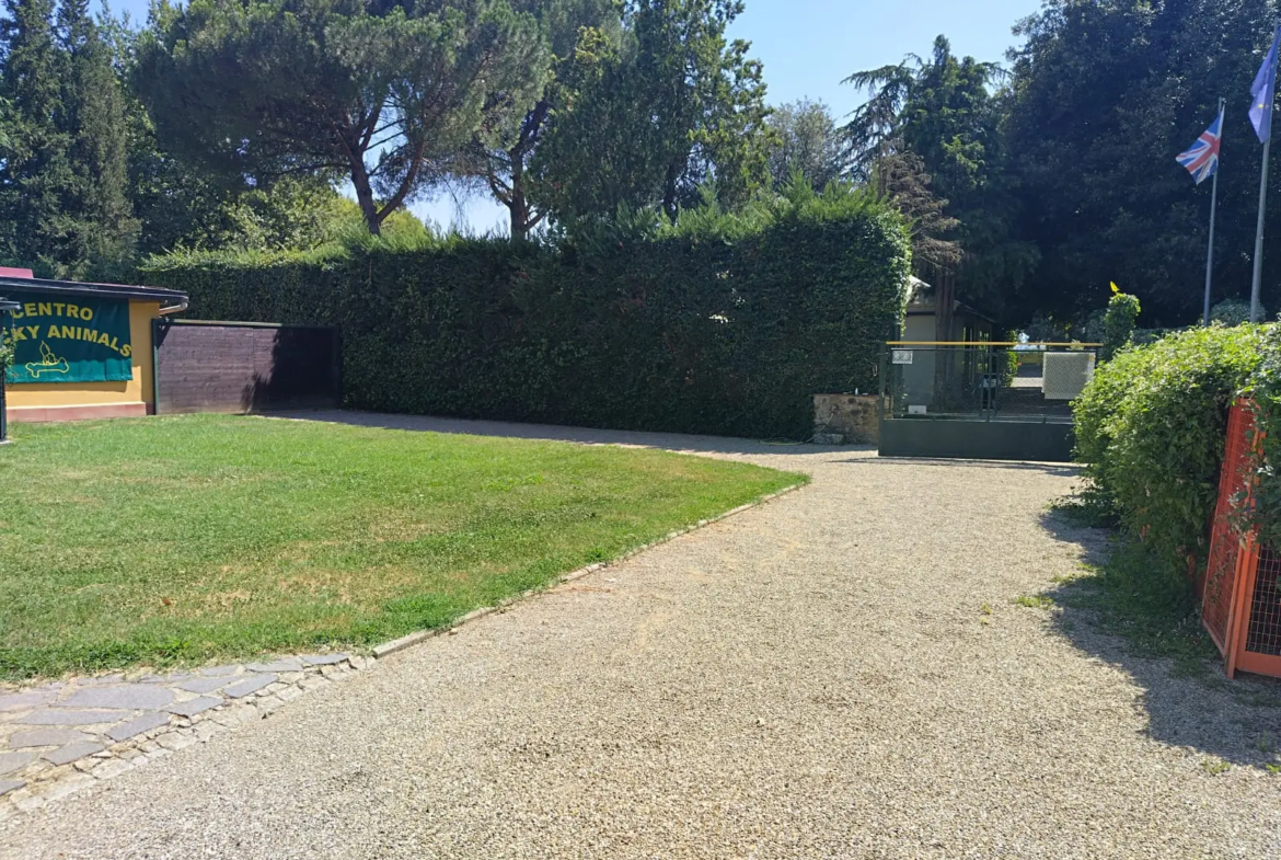 Luxury Estate & Canine Business for Sale In Terranuova Bracciolini Tuscany Italy