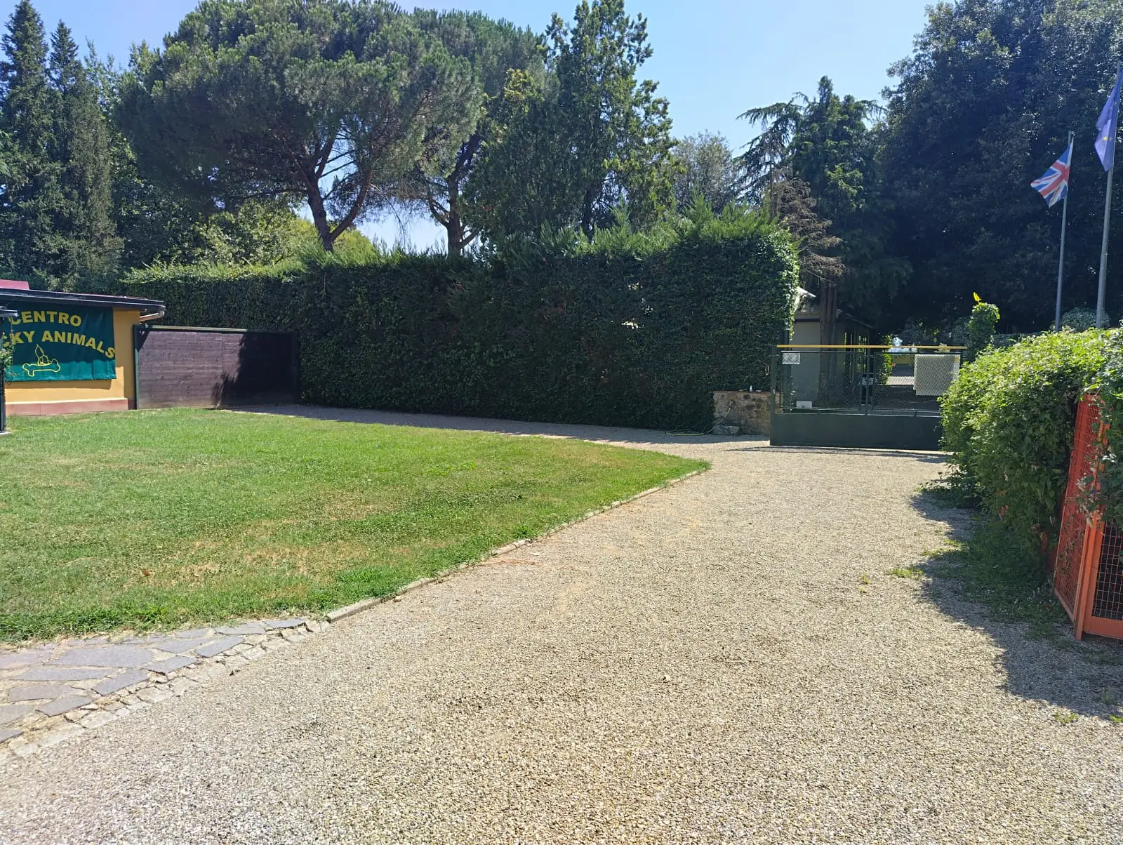 Luxury Estate & Canine Business for Sale In Terranuova Bracciolini Tuscany Italy