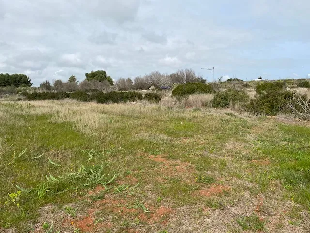 Excellent Plot of land for sale in Morciano di Leuca Puglia Italy