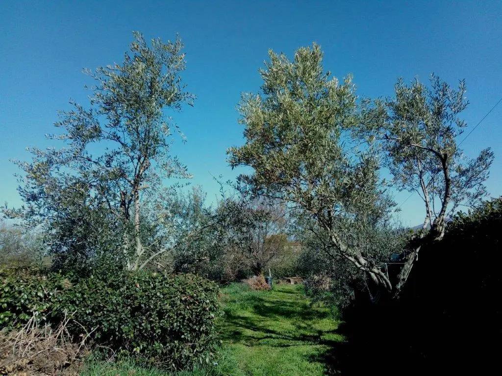 Excellent 4 Bed Villa For Sale in Palestrina Lazio Italy