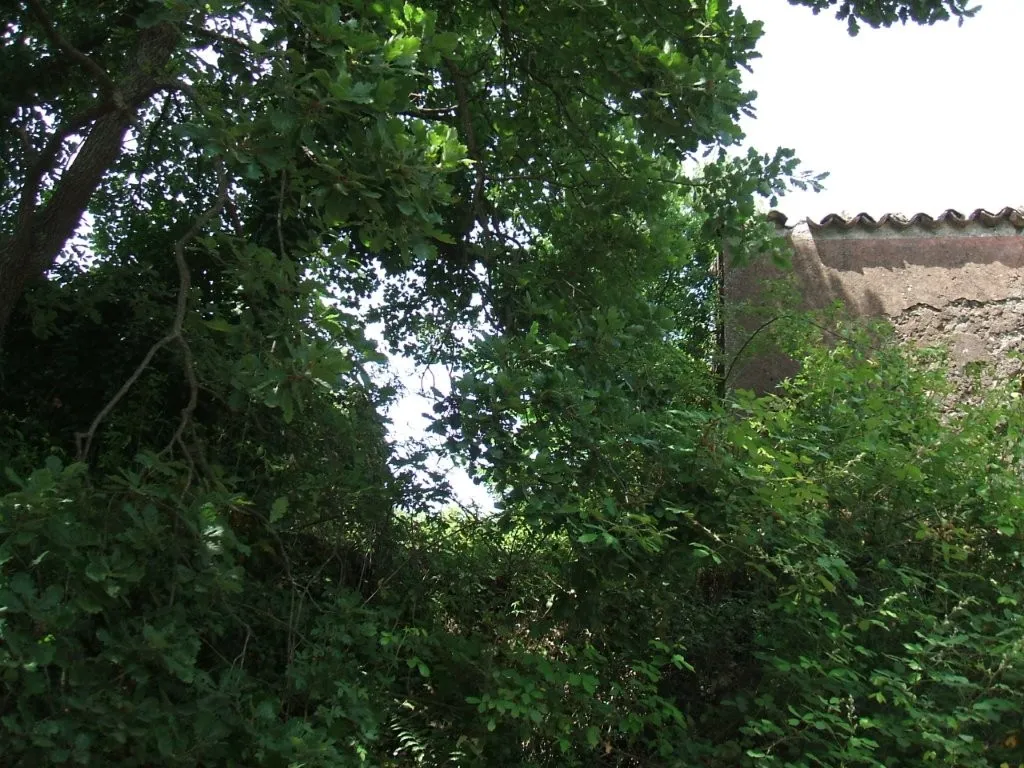 Vineyard With Villa Plans for Sale In Trecastagni Sicily Italy